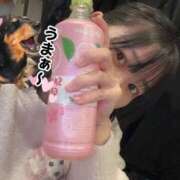 ヒメ日記 2026/02/16 02:52 投稿 あさひ SOAPLAND LOVE FACTORY