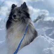 ヒメ日記 2026/02/17 03:02 投稿 あさひ SOAPLAND LOVE FACTORY