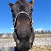 ヒメ日記 2026/02/17 06:32 投稿 あさひ SOAPLAND LOVE FACTORY