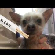 ヒメ日記 2026/02/17 06:47 投稿 あさひ SOAPLAND LOVE FACTORY