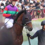 ヒメ日記 2026/02/17 11:47 投稿 あさひ SOAPLAND LOVE FACTORY