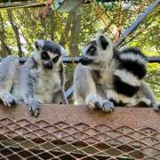 ヒメ日記 2026/02/18 06:19 投稿 あさひ SOAPLAND LOVE FACTORY