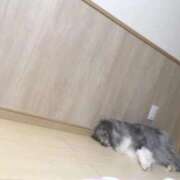 ヒメ日記 2026/02/18 18:32 投稿 あさひ SOAPLAND LOVE FACTORY