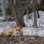 ヒメ日記 2026/02/19 04:38 投稿 あさひ SOAPLAND LOVE FACTORY