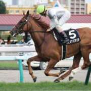 ヒメ日記 2026/02/19 06:42 投稿 あさひ SOAPLAND LOVE FACTORY