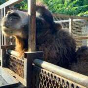 ヒメ日記 2026/02/19 12:04 投稿 あさひ SOAPLAND LOVE FACTORY