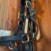 ヒメ日記 2026/02/19 15:32 投稿 あさひ SOAPLAND LOVE FACTORY