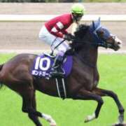 ヒメ日記 2026/02/20 03:13 投稿 あさひ SOAPLAND LOVE FACTORY