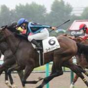 ヒメ日記 2026/02/21 02:28 投稿 あさひ SOAPLAND LOVE FACTORY