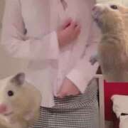 ヒメ日記 2026/02/21 02:42 投稿 あさひ SOAPLAND LOVE FACTORY