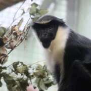 ヒメ日記 2026/02/21 04:21 投稿 あさひ SOAPLAND LOVE FACTORY