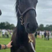 ヒメ日記 2026/02/23 04:12 投稿 あさひ SOAPLAND LOVE FACTORY