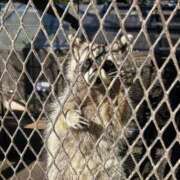 ヒメ日記 2026/02/23 15:52 投稿 あさひ SOAPLAND LOVE FACTORY