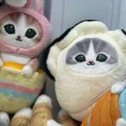 ヒメ日記 2026/02/24 01:12 投稿 あさひ SOAPLAND LOVE FACTORY