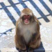 ヒメ日記 2026/02/24 18:12 投稿 あさひ SOAPLAND LOVE FACTORY