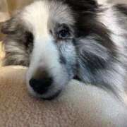 ヒメ日記 2026/02/26 15:34 投稿 あさひ SOAPLAND LOVE FACTORY