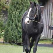 ヒメ日記 2026/02/27 00:52 投稿 あさひ SOAPLAND LOVE FACTORY