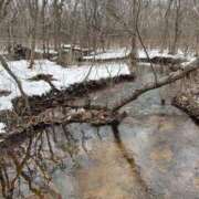 ヒメ日記 2026/02/27 11:02 投稿 あさひ SOAPLAND LOVE FACTORY