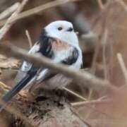 ヒメ日記 2026/02/27 13:02 投稿 あさひ SOAPLAND LOVE FACTORY