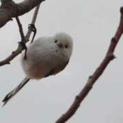 ヒメ日記 2026/02/27 13:08 投稿 あさひ SOAPLAND LOVE FACTORY