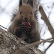 ヒメ日記 2026/02/27 13:42 投稿 あさひ SOAPLAND LOVE FACTORY