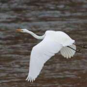 ヒメ日記 2026/02/27 15:14 投稿 あさひ SOAPLAND LOVE FACTORY