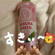 ヒメ日記 2026/02/27 17:13 投稿 あさひ SOAPLAND LOVE FACTORY