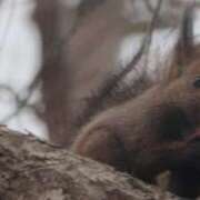 ヒメ日記 2026/03/02 00:32 投稿 あさひ SOAPLAND LOVE FACTORY