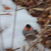 ヒメ日記 2026/03/02 00:37 投稿 あさひ SOAPLAND LOVE FACTORY