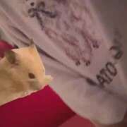 ヒメ日記 2026/03/02 21:32 投稿 あさひ SOAPLAND LOVE FACTORY