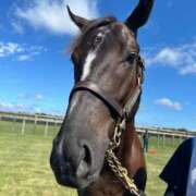 ヒメ日記 2026/03/02 21:55 投稿 あさひ SOAPLAND LOVE FACTORY