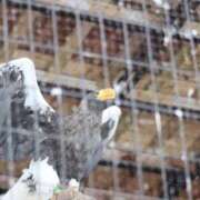 ヒメ日記 2026/03/03 20:14 投稿 あさひ SOAPLAND LOVE FACTORY