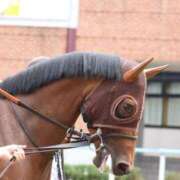 ヒメ日記 2026/03/04 11:02 投稿 あさひ SOAPLAND LOVE FACTORY