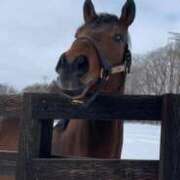 ヒメ日記 2026/03/04 11:19 投稿 あさひ SOAPLAND LOVE FACTORY