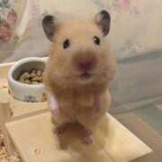 ヒメ日記 2026/03/06 14:32 投稿 あさひ SOAPLAND LOVE FACTORY