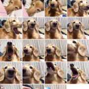 ヒメ日記 2026/03/07 12:22 投稿 あさひ SOAPLAND LOVE FACTORY