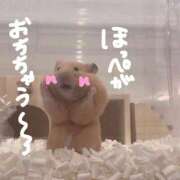 ヒメ日記 2026/03/07 13:28 投稿 あさひ SOAPLAND LOVE FACTORY