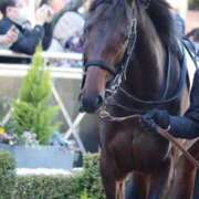 ヒメ日記 2026/03/10 10:51 投稿 あさひ SOAPLAND LOVE FACTORY