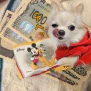 ヒメ日記 2026/03/11 00:12 投稿 あさひ SOAPLAND LOVE FACTORY