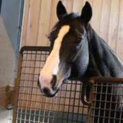 ヒメ日記 2026/03/15 00:12 投稿 あさひ SOAPLAND LOVE FACTORY