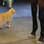 ヒメ日記 2026/03/15 08:42 投稿 あさひ SOAPLAND LOVE FACTORY