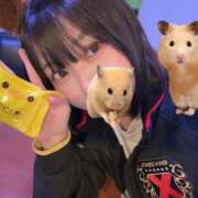 ヒメ日記 2026/03/21 01:52 投稿 あさひ SOAPLAND LOVE FACTORY