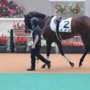 ヒメ日記 2026/03/26 07:26 投稿 あさひ SOAPLAND LOVE FACTORY