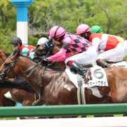 ヒメ日記 2026/04/01 05:36 投稿 あさひ SOAPLAND LOVE FACTORY