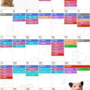 ヒメ日記 2026/04/03 08:10 投稿 あさひ SOAPLAND LOVE FACTORY