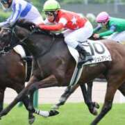 ヒメ日記 2026/04/03 09:02 投稿 あさひ SOAPLAND LOVE FACTORY