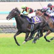 ヒメ日記 2026/04/05 16:12 投稿 あさひ SOAPLAND LOVE FACTORY