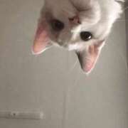 ヒメ日記 2026/04/07 05:52 投稿 あさひ SOAPLAND LOVE FACTORY