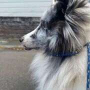 ヒメ日記 2026/04/07 18:52 投稿 あさひ SOAPLAND LOVE FACTORY