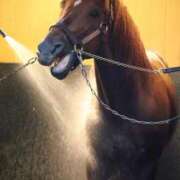 ヒメ日記 2026/04/09 08:10 投稿 あさひ SOAPLAND LOVE FACTORY